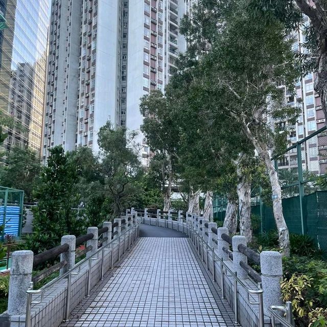 鰂魚涌公園+海濱長廊+寵物公園 鰂魚涌公園+海濱長廊+寵物公園