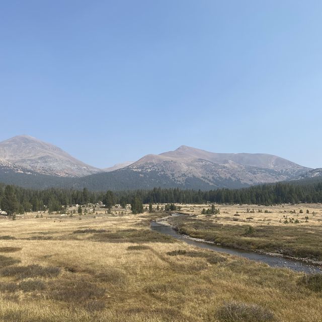 Yosemite National Park