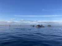 sky lagoon 