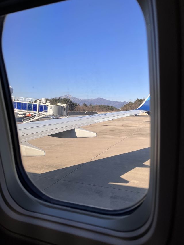 양양에서도 일본까지 갈 수 있다고?!🇰🇷✈️🇯🇵