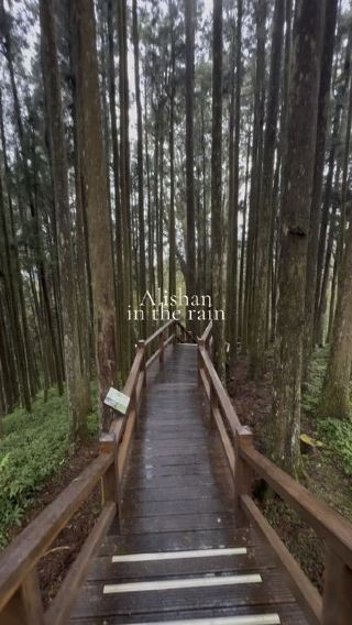 We Travelled 3.5 Hours for Fog