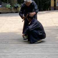 Basha Miao Village - Congjiang 