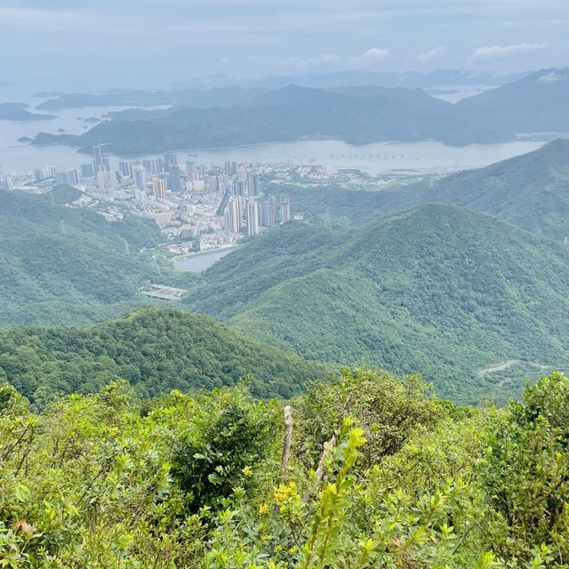 Wutong Mountain, Shenzhen🌿