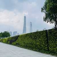 Greenery along the Huangpu River🌺🌳🌻