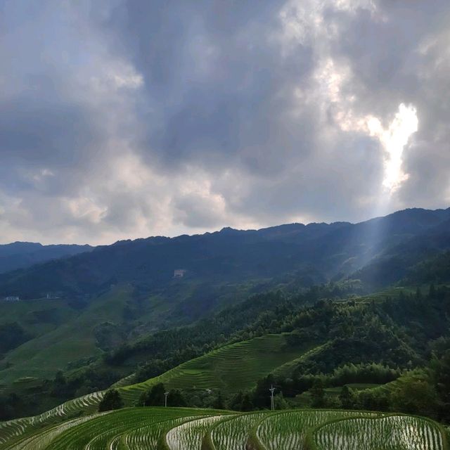 Beautiful Rice Terraces