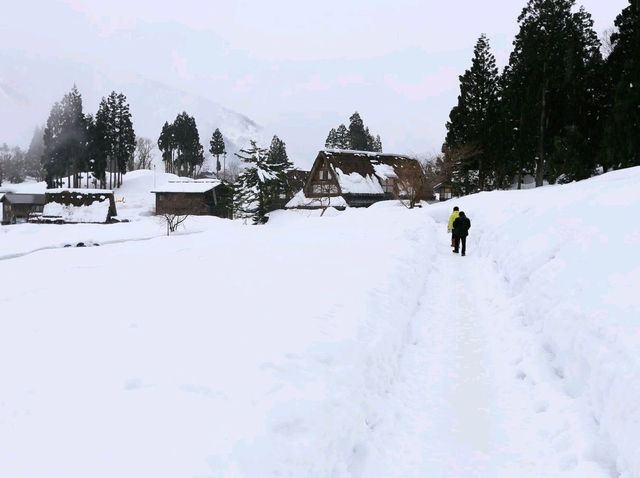世界文化遺產日本合掌村