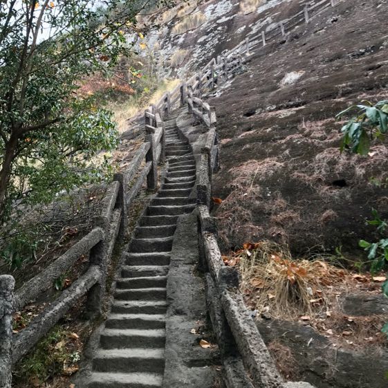 Slope of the Brave, Wuyi Mountain 