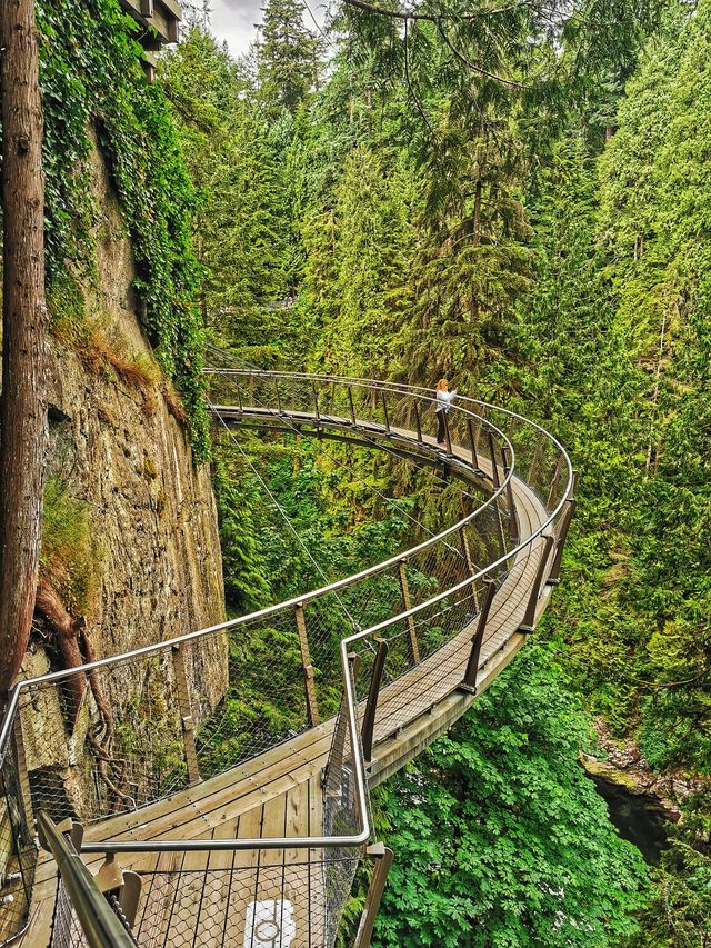 Capilano Suspension Bridge Park