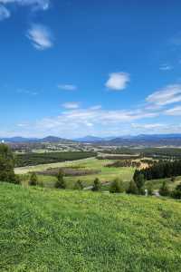 Enjoy the flowers at Canberra Arboretum.