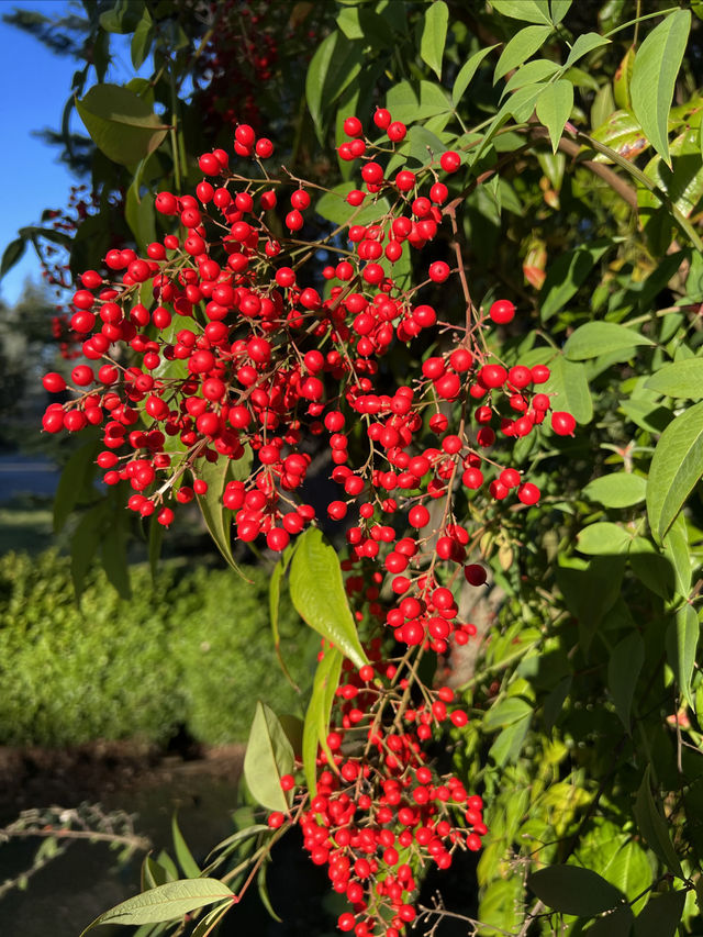 Colorful winter - Seattle