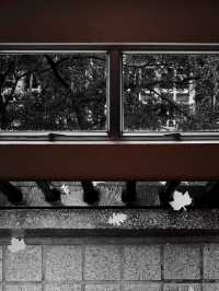Hong Kong · Black and White Art Center hidden in the park ｜