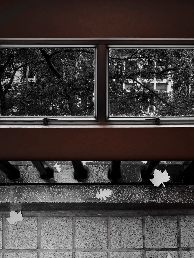 Hong Kong · Black and White Art Center hidden in the park ｜