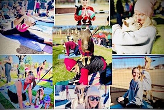 Goat Yoga Frisco Fresh Market! (Frisco) | Frisco Fresh Market
