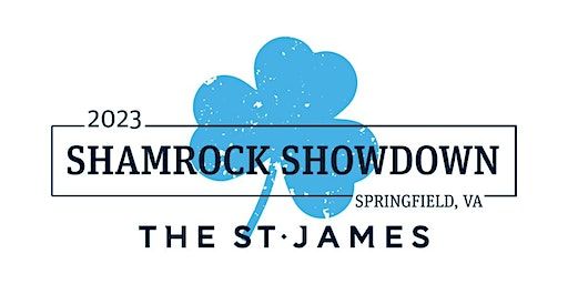 The Shamrock Showdown Volleyball Tournament | The St. James Sports, Wellness and Entertainment Complex