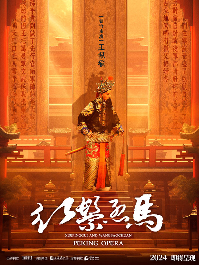 瑜音繞樑 王珮瑜傳統骨子老戲《紅鬃烈馬》｜曲苑雜壇 | 黃岡黃梅戲大劇院