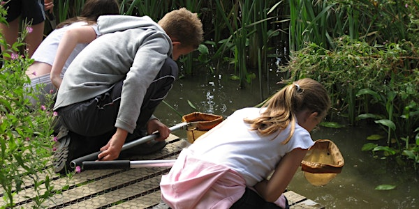 Hanningfield Pond Dipping | Hanningfield Reservoir Nature Discovery Park