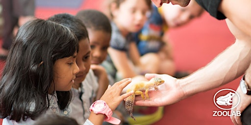 Zoolab Workshops | Trebah Garden