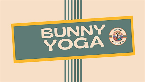 Bunny Yoga | Personal Pilates Plus