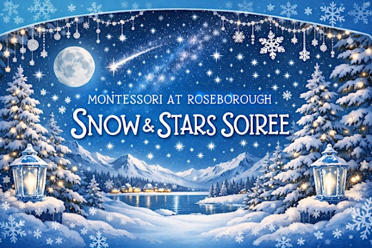 Snow & Stars Soiree | Mount Dora Yacht Club