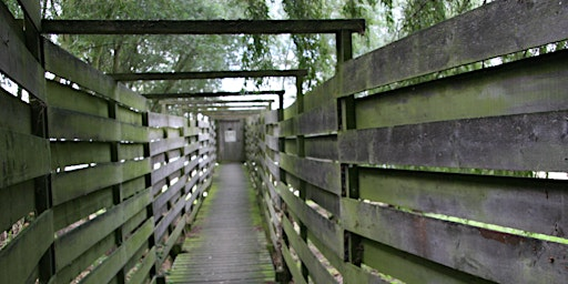 Hanningfield Birds of Prey Walking Safari | Hanningfield Reservoir Nature Discovery Park