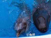 回顧沖繩遊