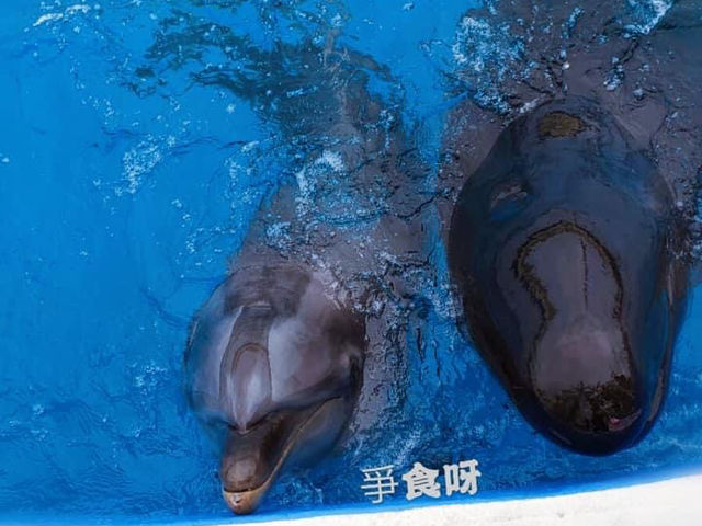 回顧沖繩遊