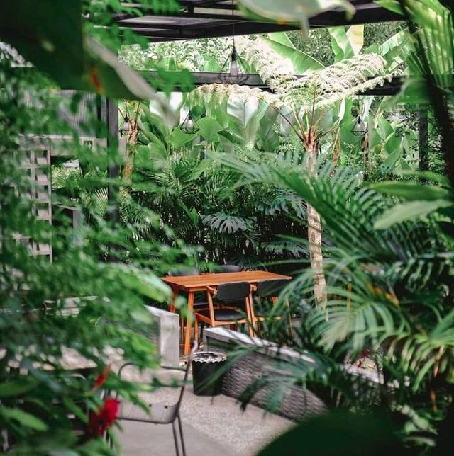 CAFE MONSTERA CAFE MONSTERA