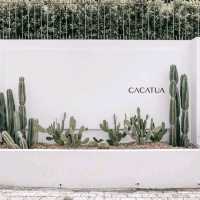 Cacatua Cafe 