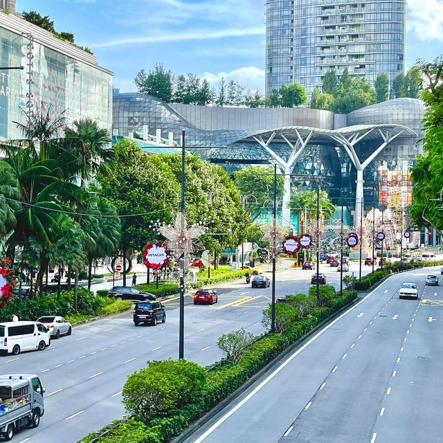 Christmas lights at Orchard Road