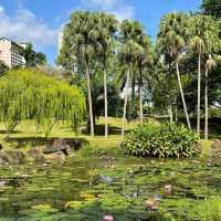 Bishan - Ang Mo Kio Park