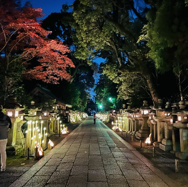 光の京都ーー石清水八幡宮