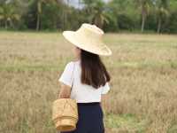 ยุ้งฉาง คาเฟ่ คาเฟ่ทุ่งนา มุมถ่ายรูปเยอะสุดๆ👍🏻