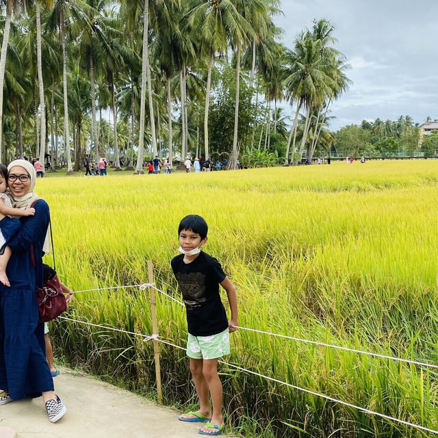 kampung agong, penaga