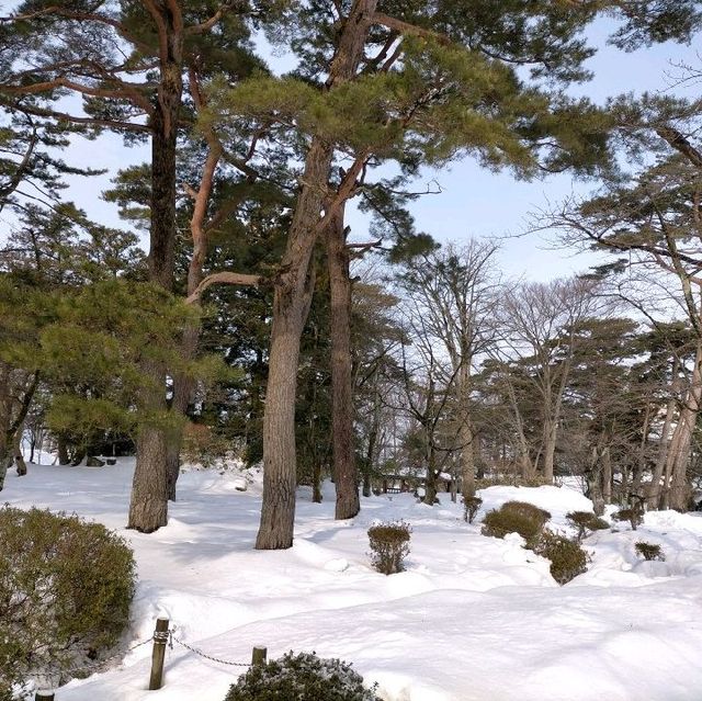 秋田県　千秋公園　雪景