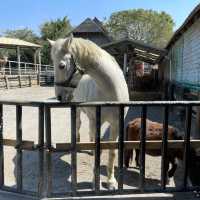台南人小時候必去的動物園