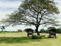 Natividad Farmhouse