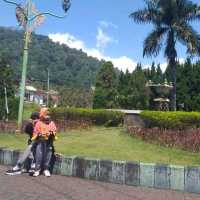 beautiful nature