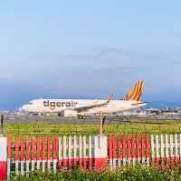 [台北景點]飛機迷的最愛~台北飛機巷｜松山機場另類觀景台 飛機降落超有感 