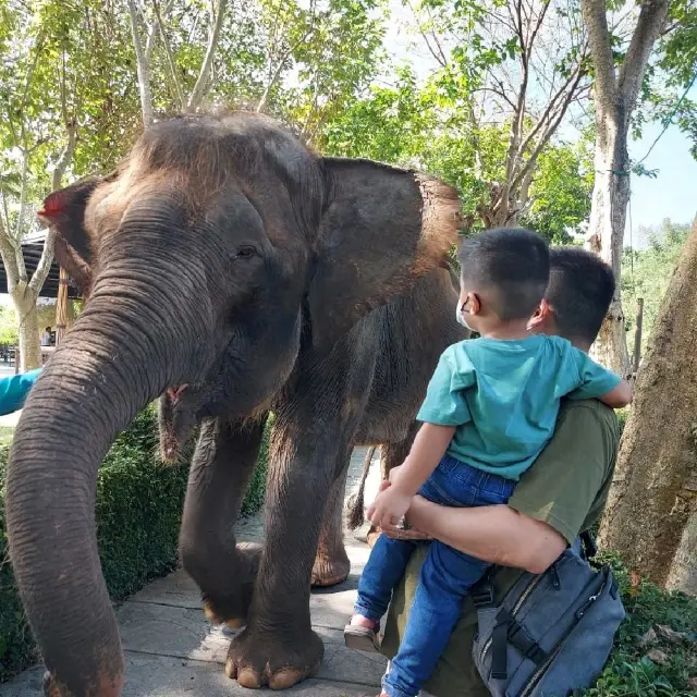 Exploring Bali Zoo😃