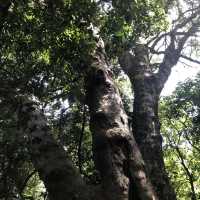 Lai Chi Wo- The UNESCO Geopark in Hong Kong 