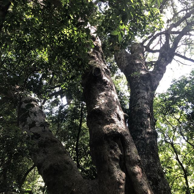 Lai Chi Wo- The UNESCO Geopark in Hong Kong 