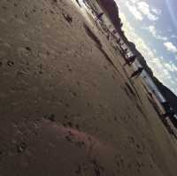 coromandel peninsula and hot water beach
