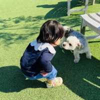 【柏の葉T-site】dogrunとTSUTAYA