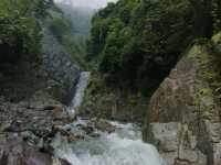 Shiva jatta, Dharan