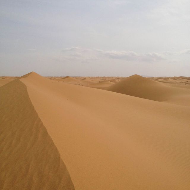 The Tengger Desert 