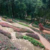 สวนแม่ฟ้าหลวง