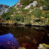 The Dove Lake Circuit Hiking Route