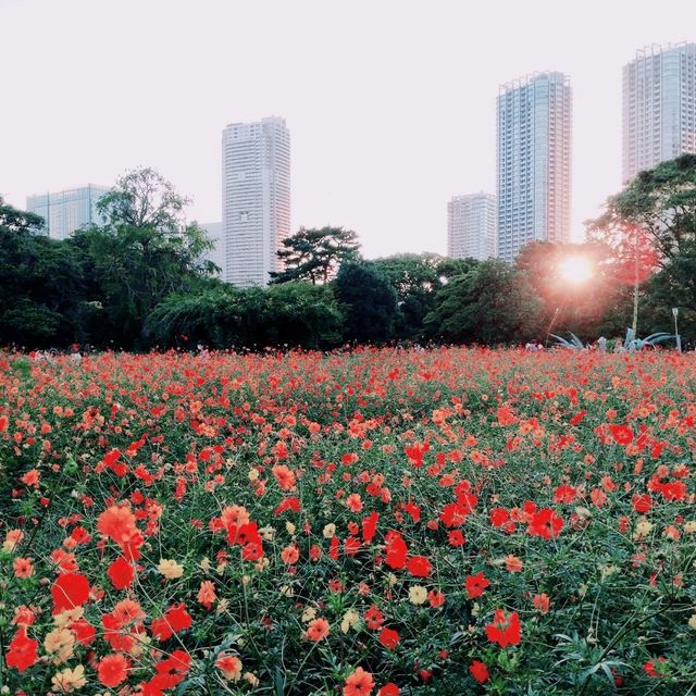 都民の日に公園で散策してみた〜