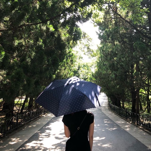 중국의 넘사벽 스케일! 칭다오 빌딩들의 야경뷰 ✨ 