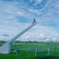 คาเฟ่ชมธรรมชาติ